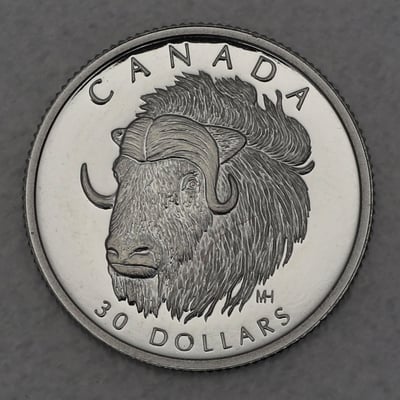 Platinmünze 1/10oz "Muskox" 1999 Wildlife Canada (Kanada) - Miniaturansicht 1
