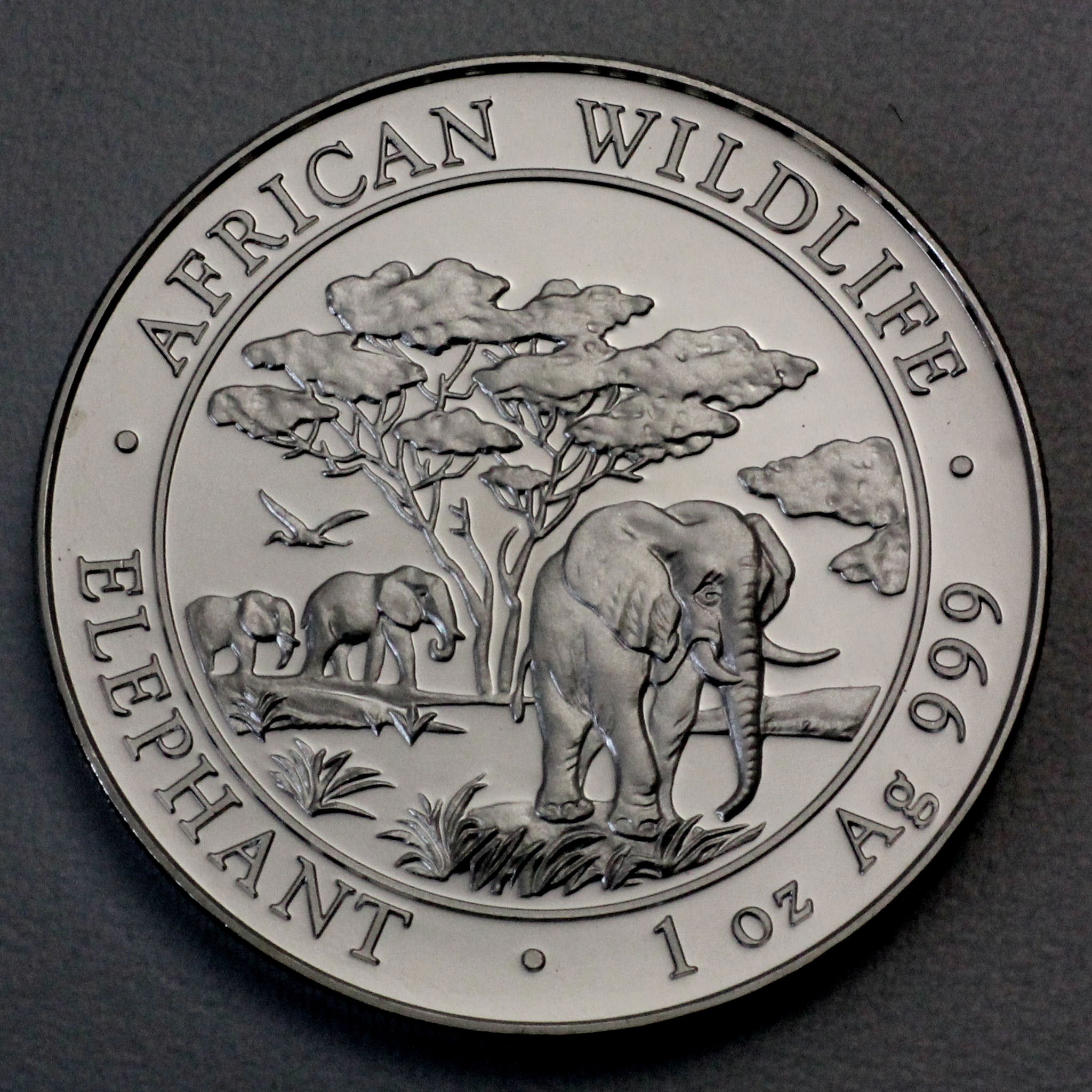 Silbermünze 1oz "Elefant" 2012 African Wildlife (Somalia) - Hauptansicht