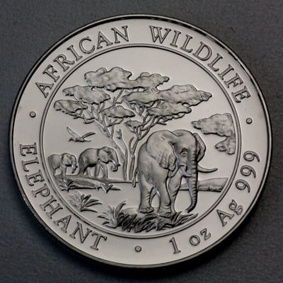 Silbermünze 1oz "Elefant" 2012 African Wildlife (Somalia) - Hauptansicht