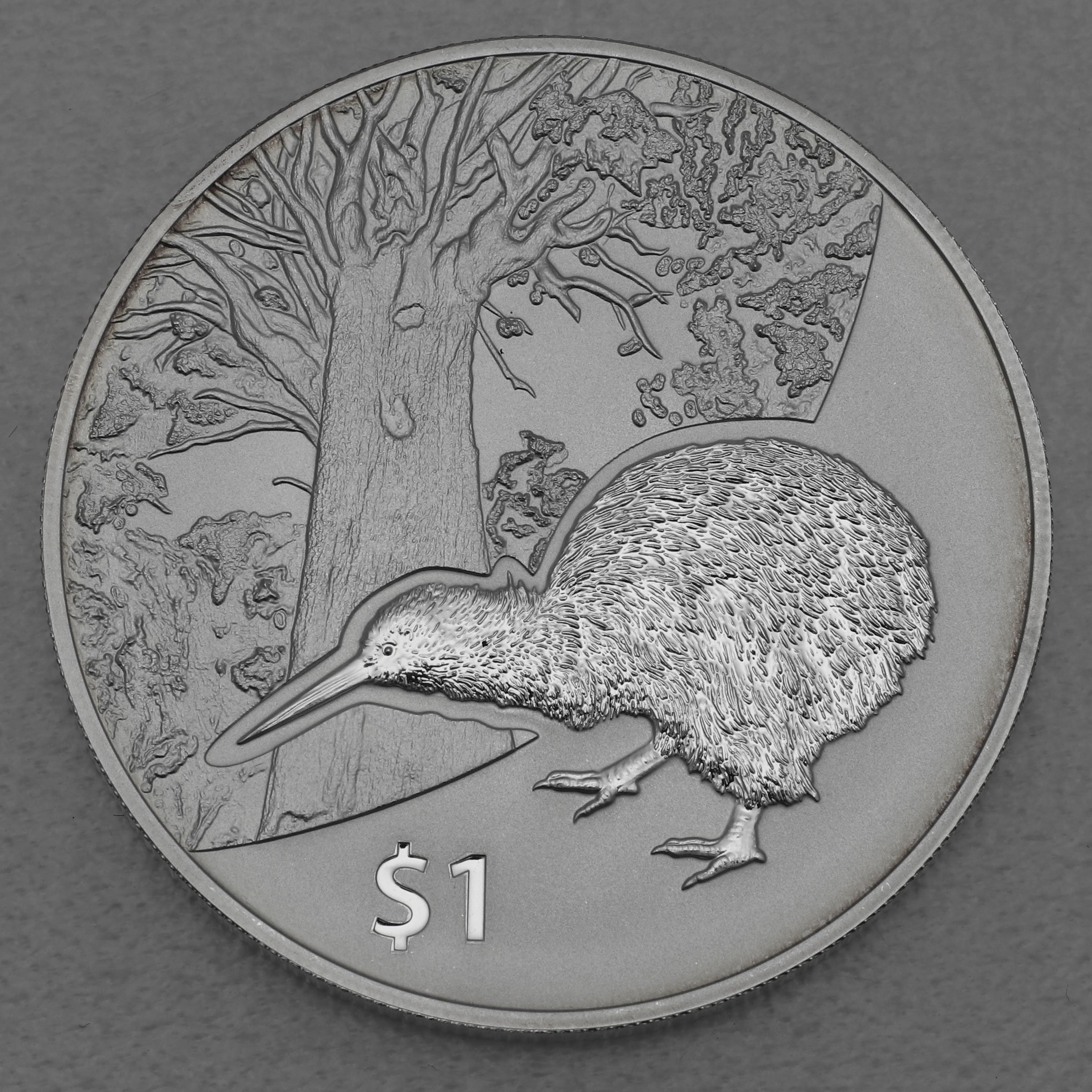 Silbermünze 1oz "Kiwi" 2013 Treasures of New Zealand (Neuseeland) - Hauptansicht