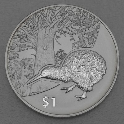 Silbermünze 1oz "Kiwi" 2013 Treasures of New Zealand (Neuseeland) - Miniaturansicht 1