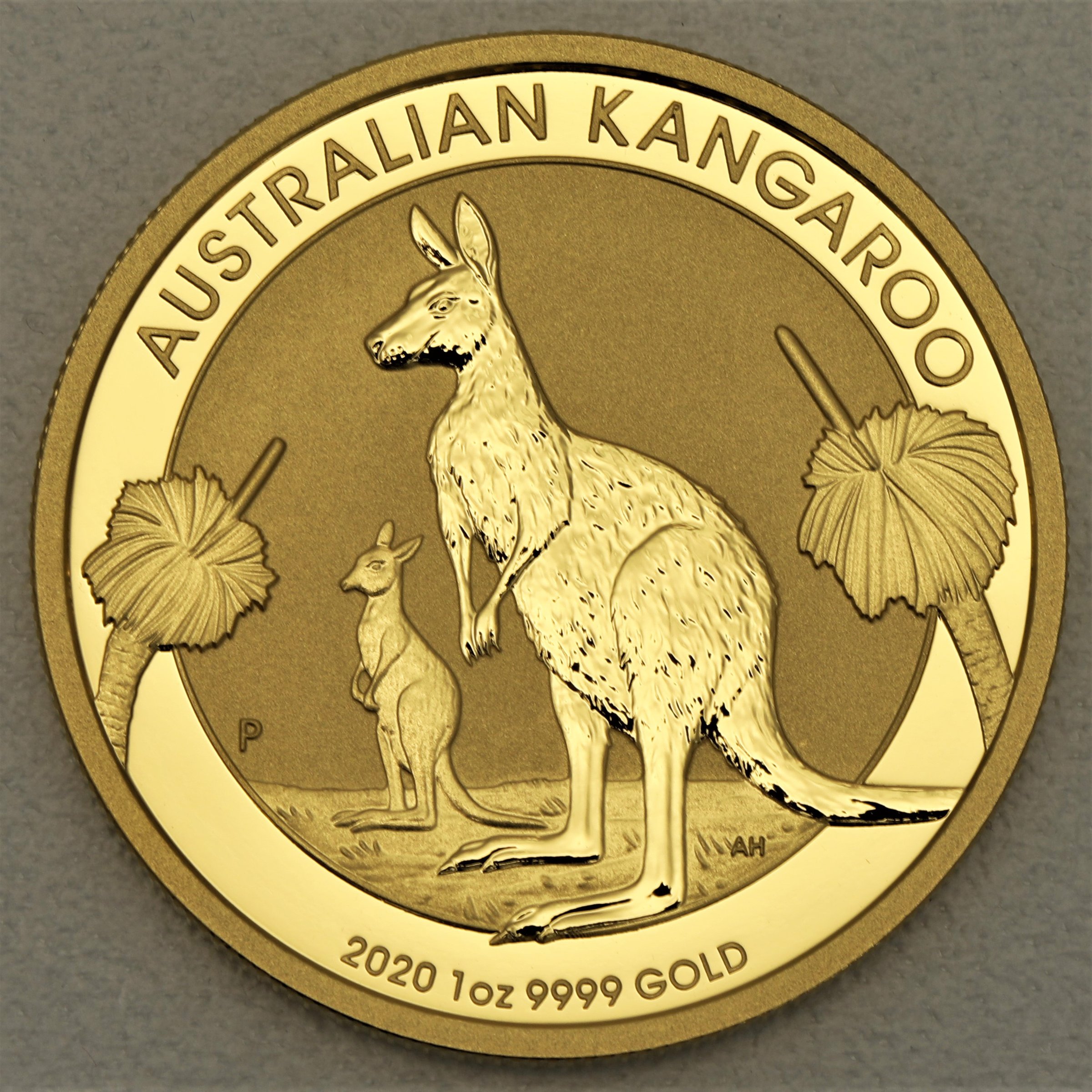 Goldmünze 1oz "Känguru" 2020 (Australien) - Hauptansicht