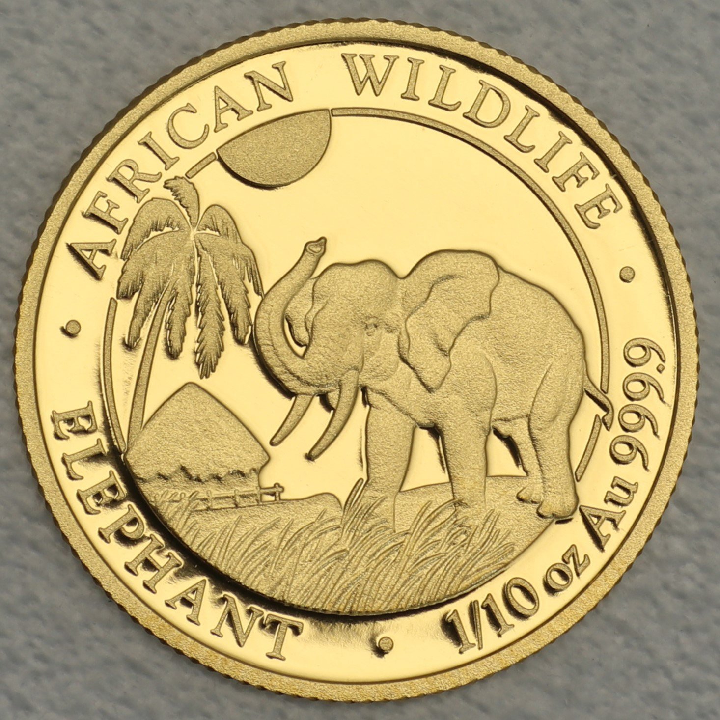Goldmünze 1/10oz "Elefant" 2017 African Wildlife (Somalia) - Hauptansicht