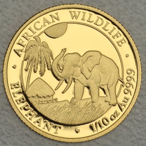 Goldmünze 1/10oz "Elefant" 2017 African Wildlife (Somalia) - Hauptansicht