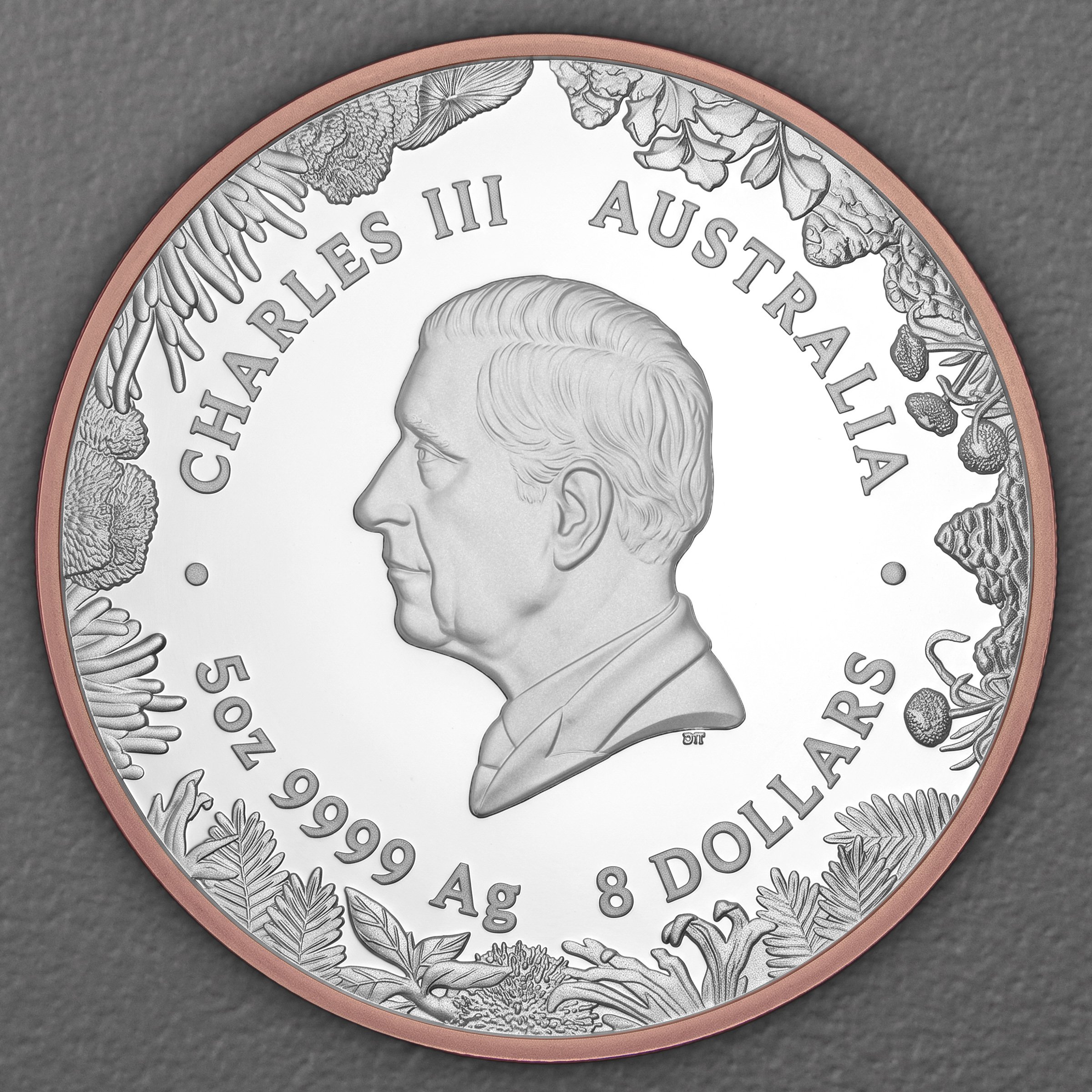Silbermünze 5oz "Känguru" 2026 (PP/vergoldet) Wonders of Australia (Australien) - Detailansicht 1