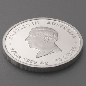 Silbermünze 1/2oz "Newborn" 2024 (PP/koloriert) (Australien) - Miniaturansicht 4