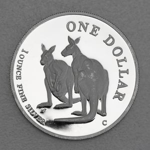 Silbermünze 1oz "Känguru" 1999 (PP) Royal Australian Mint (Australien) - Miniaturansicht 1