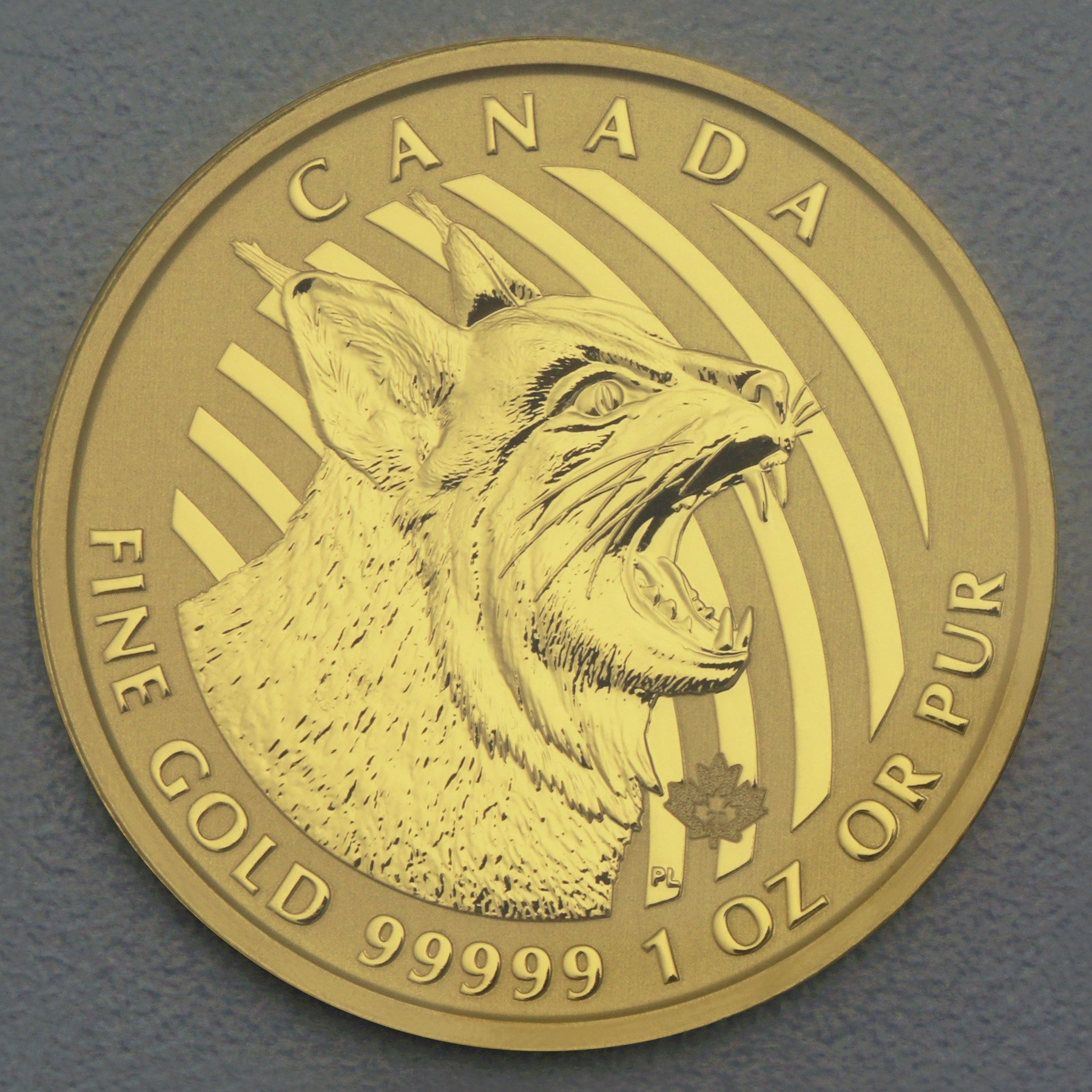 Goldmünze 1oz "Bobcat" 2020 Call of the wild (Kanada) - Hauptansicht