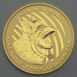 Goldmünze 1oz "Bobcat" 2020 Call of the wild (Kanada) - Hauptansicht