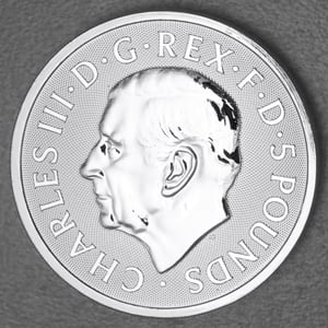 Silbermünze 2oz "Queen’s Panther" 2025 Royal Tudor Beasts 19% (Großbritannien) - Miniaturansicht 2