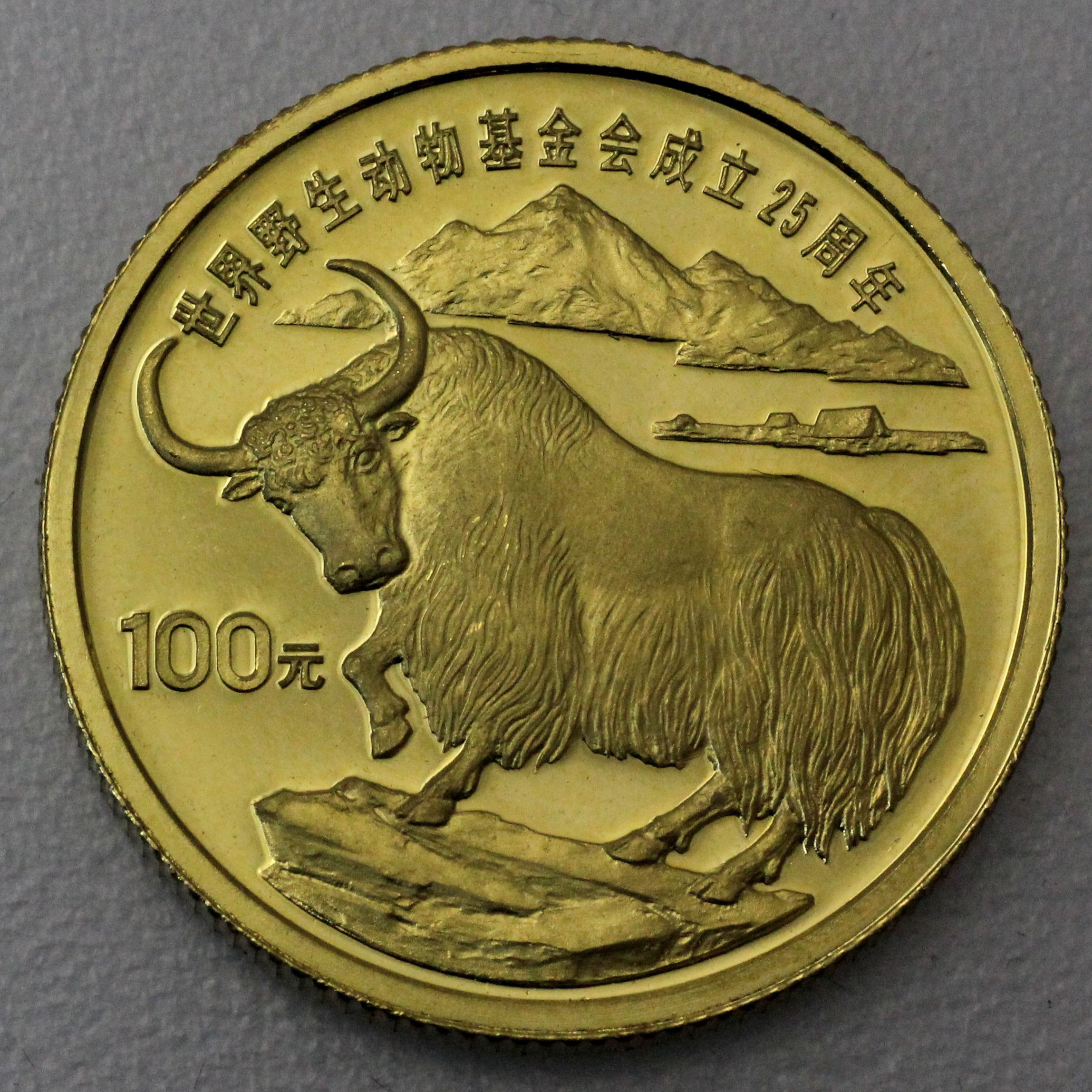 Goldmünze 100 Yuan "Wilder Yak" 1986 (China) - Hauptansicht