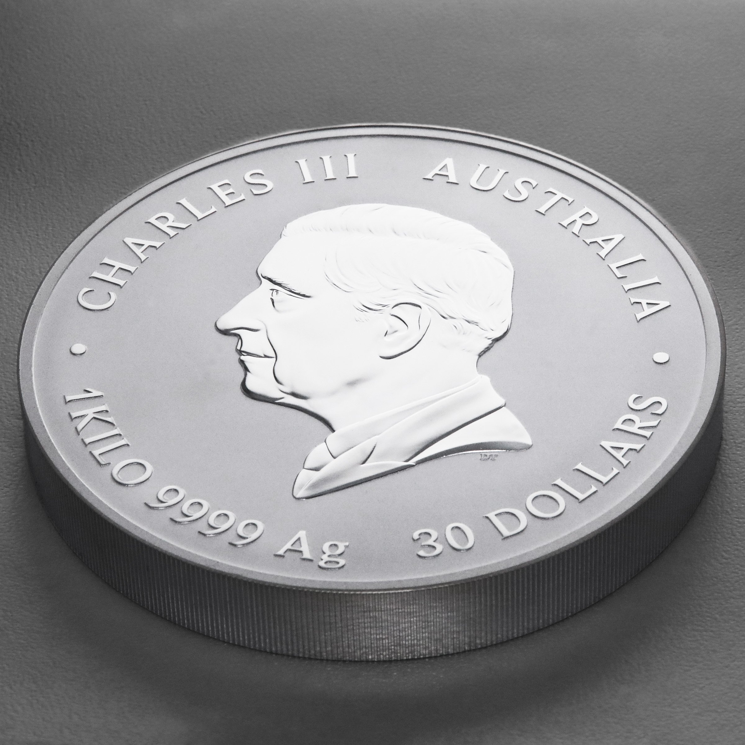 Silbermünze 1kg "Schlange" 2025 Lunar III – Year of the Snake (Australien) - Detailansicht 3