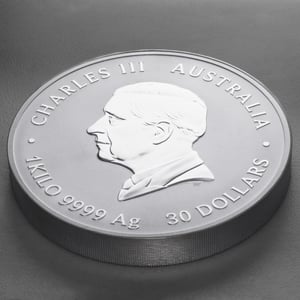 Silbermünze 1kg "Schlange" 2025 Lunar III – Year of the Snake (Australien) - Miniaturansicht 4