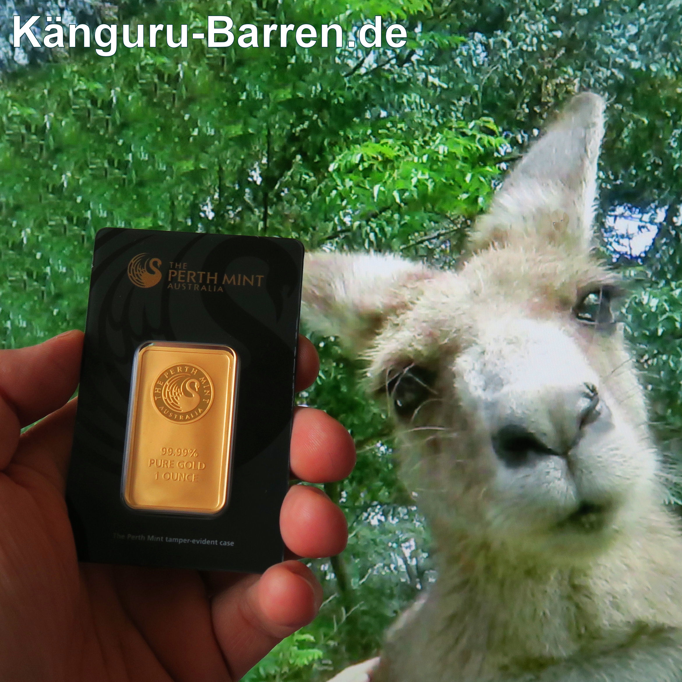 Goldbarren 1oz THE PERTH MINT "Känguru" - Detailansicht 3