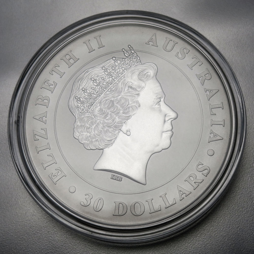 Silbermünze 1kg "Koala" 2015 (Australien) - Detailansicht 1