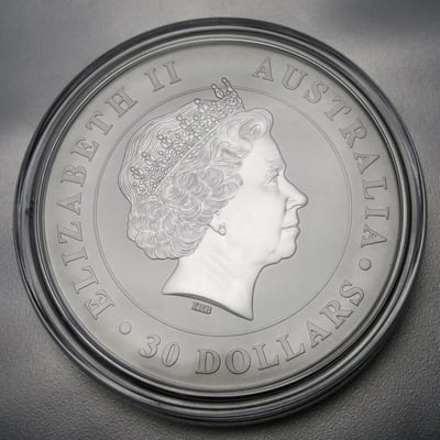 Silbermünze 1kg "Koala" 2015 (Australien) - Miniaturansicht 2