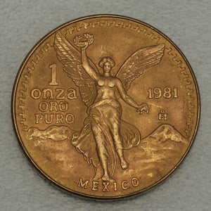 Goldmünze 1oz "Libertad" 1981 (Mexiko) - Hauptansicht