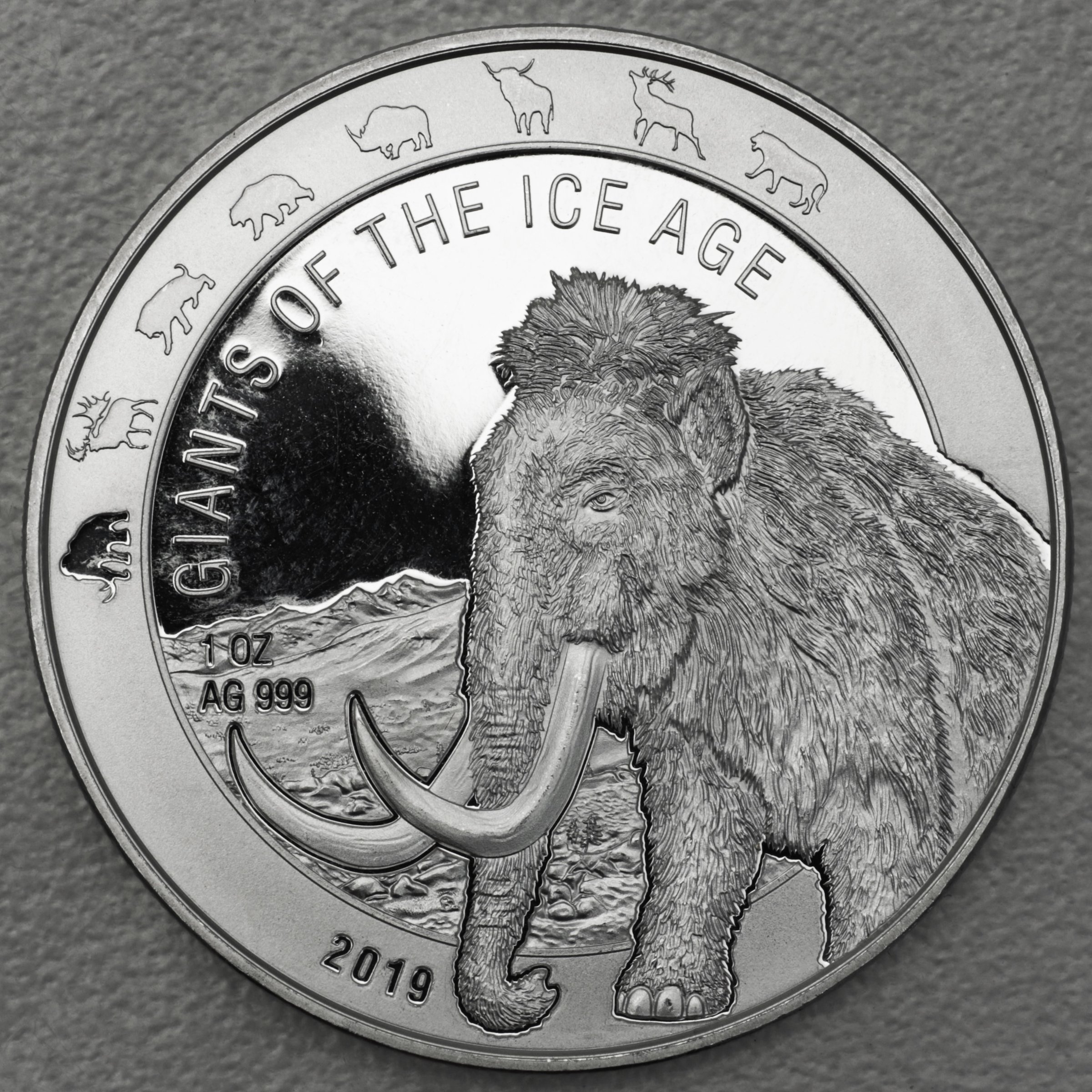 Silbermünze 1oz "Wollmammut" 2019 Giants of Ice Age (Ghana) - Hauptansicht