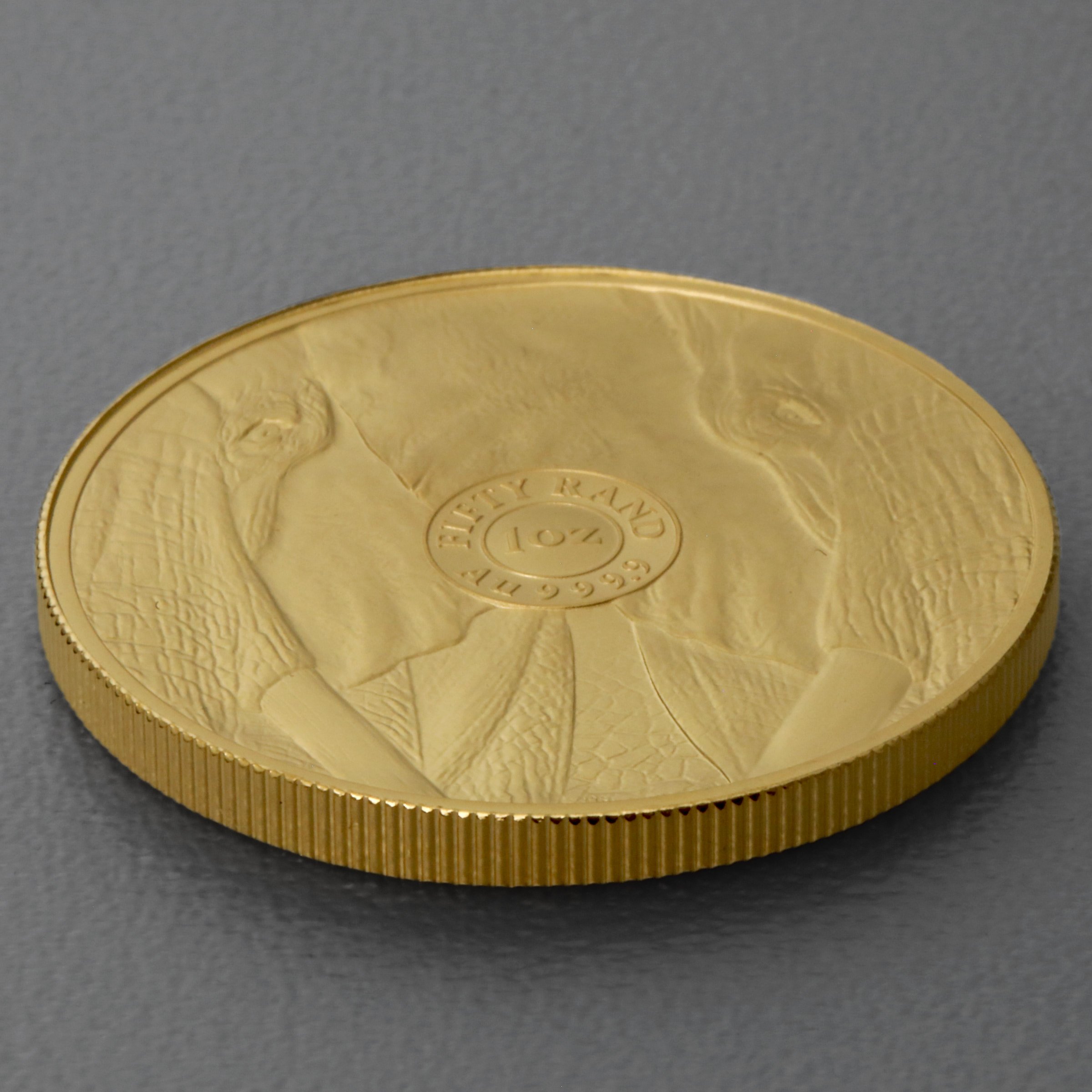 Goldmünze 1oz "Elefant" 2022 Big Five II (Südafrika) - Detailansicht 3