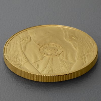 Goldmünze 1oz "Elefant" 2022 Big Five II (Südafrika) - Miniaturansicht 4
