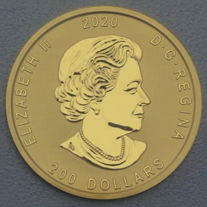 Goldmünze 1oz "Bobcat" 2020 Call of the wild (Kanada) - Miniaturansicht 2