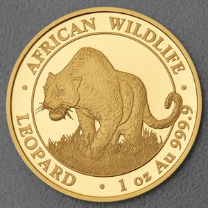 Goldmünze 1oz "Leopard" 2023 African Wildlife (Somalia) - Hauptansicht