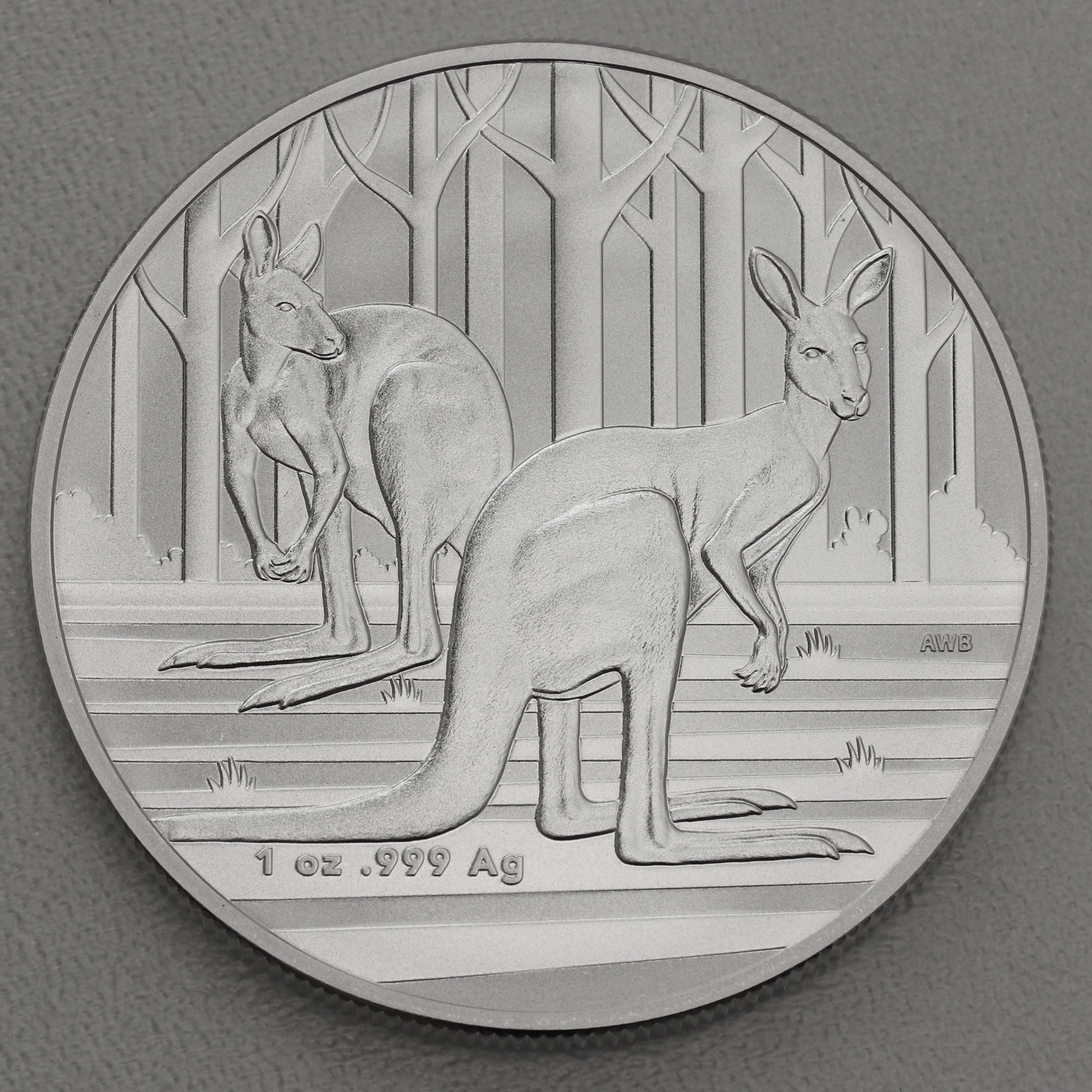 Silbermünze 1oz "Känguru" 2024 Royal Australian Mint (Australien) - Hauptansicht