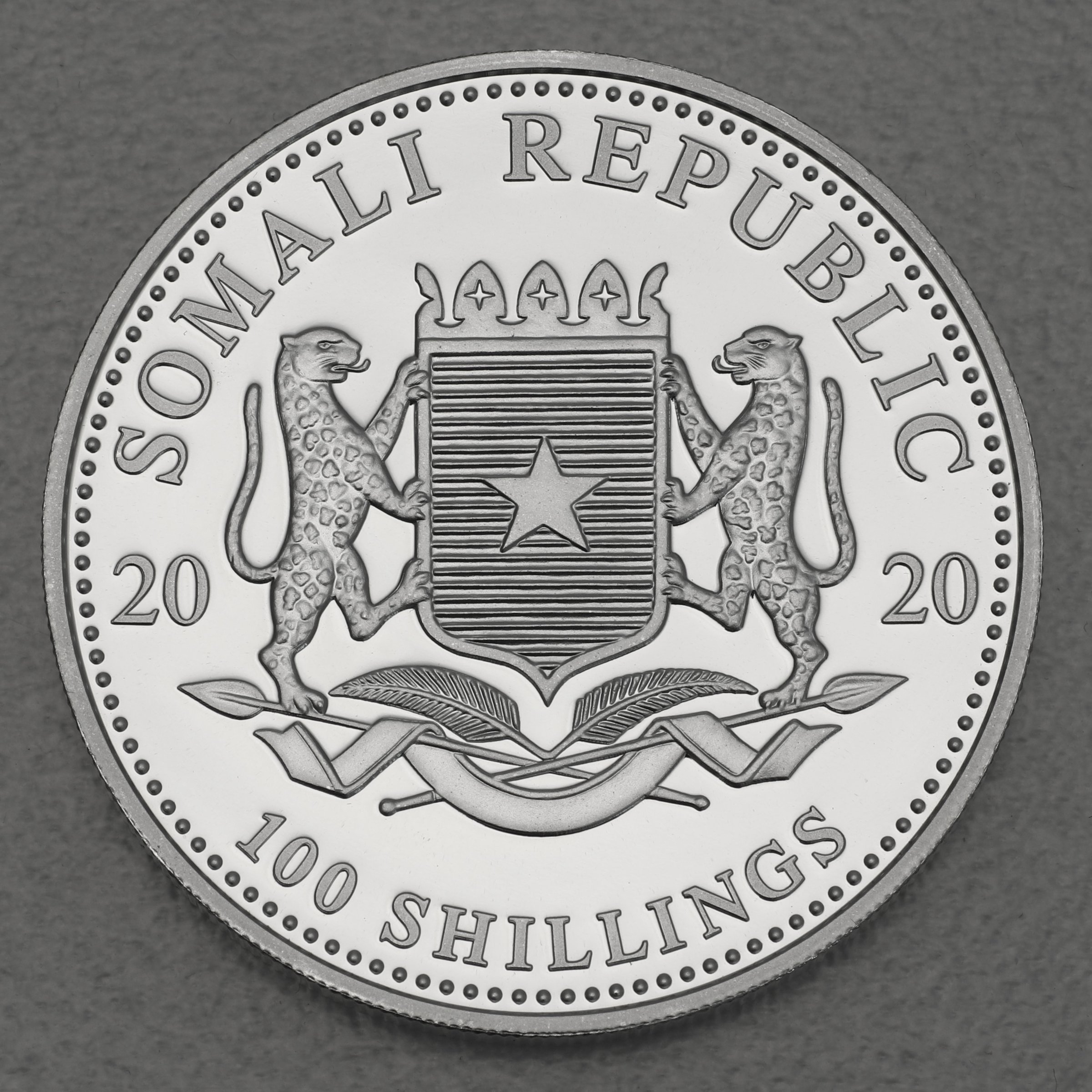 Silbermünze 1oz "Leopard" 2020 (vergoldet) African Wildlife (Somalia) - Detailansicht 1