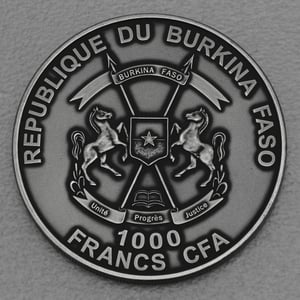 Silbermünze 1oz "Löwe" 2014 AF African Big Five (Burkina Faso) - Miniaturansicht 2