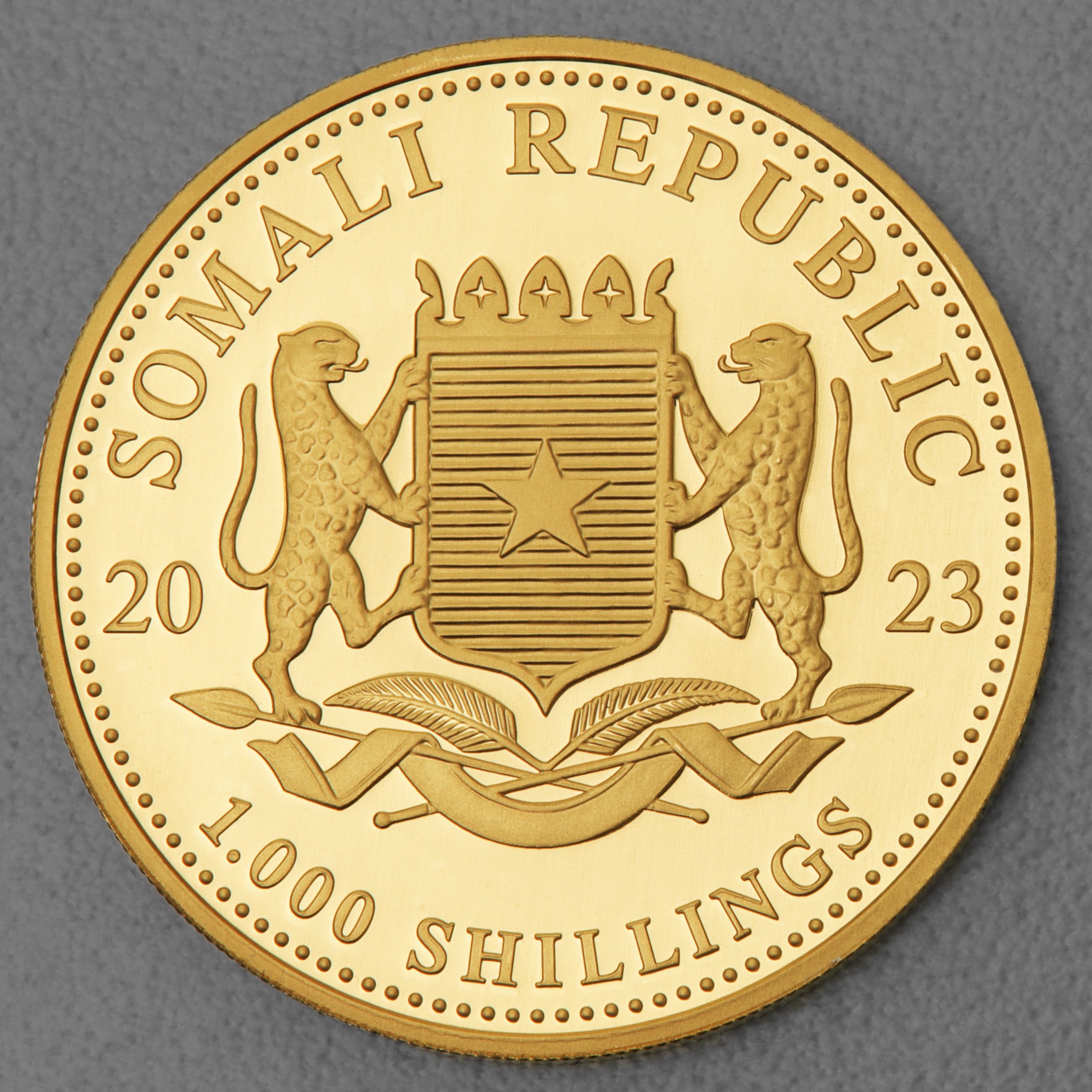 Goldmünze 1oz "Leopard" 2023 African Wildlife (Somalia) - Detailansicht 1