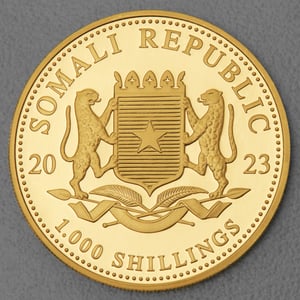 Goldmünze 1oz "Leopard" 2023 African Wildlife (Somalia) - Miniaturansicht 2